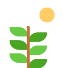 Summary Icon1