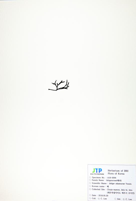 패