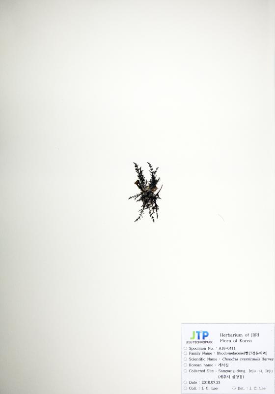 개서실