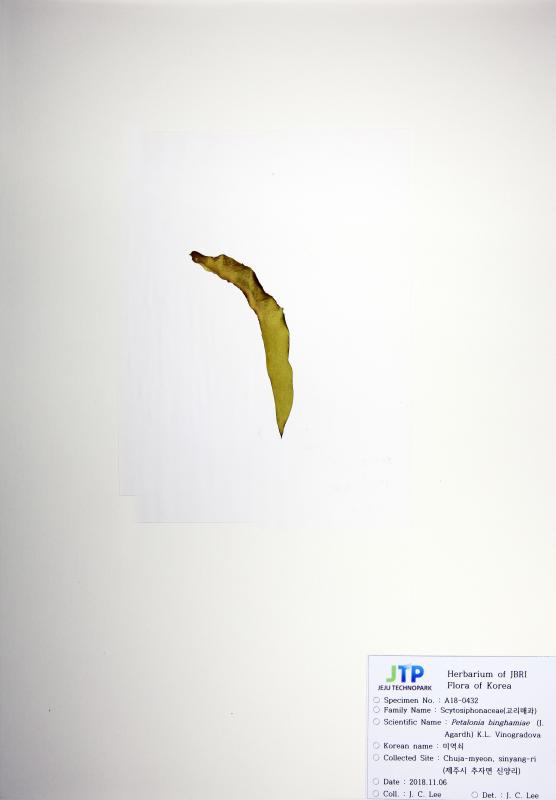 미역쇠