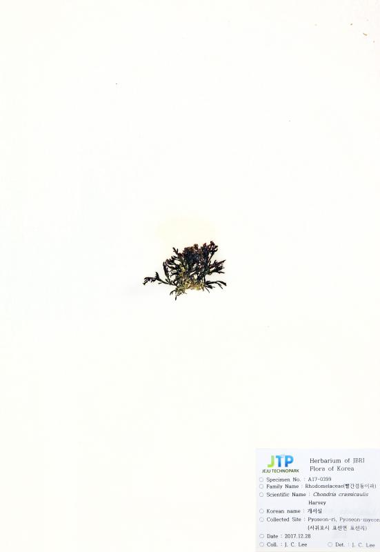 개서실