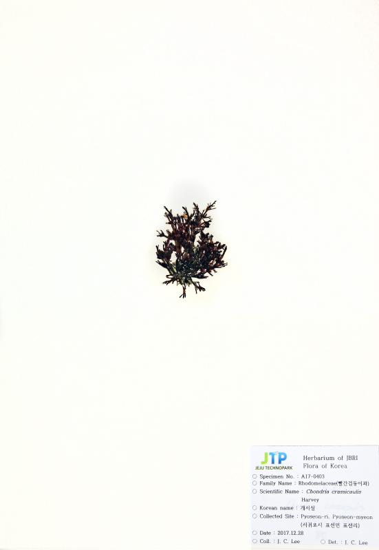 개서실