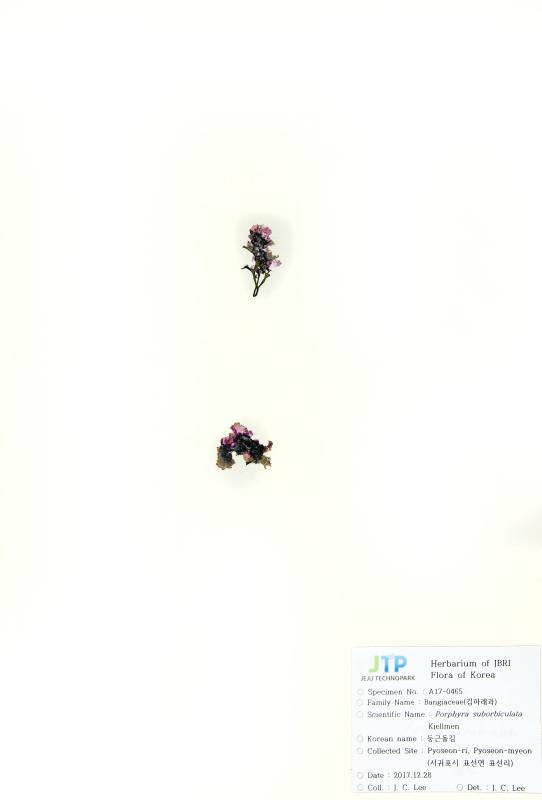 둥근돌김