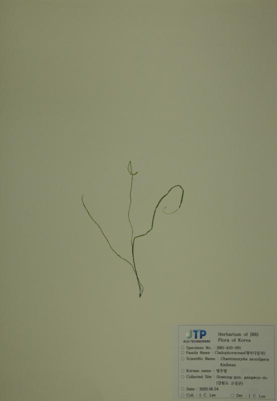염주말