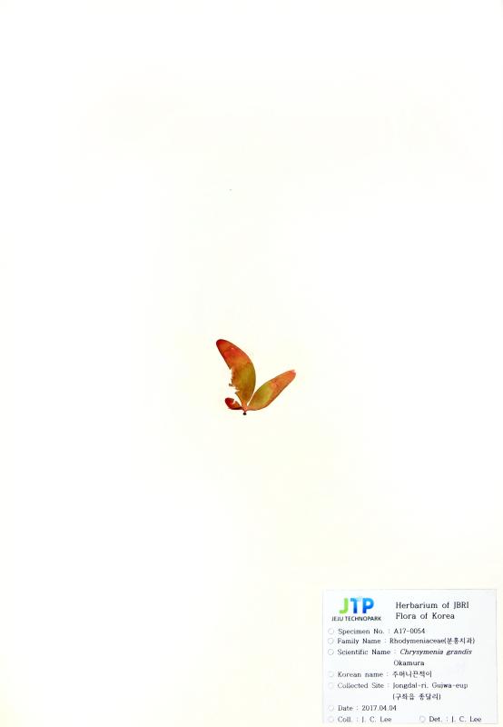 주머니끈적이